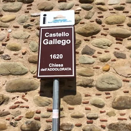 Apartment Casa Carmelina -